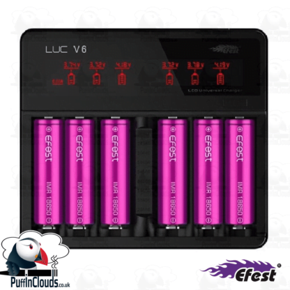 Efest LUC V6 Vaping Battery Charger | Puffin Clouds UK